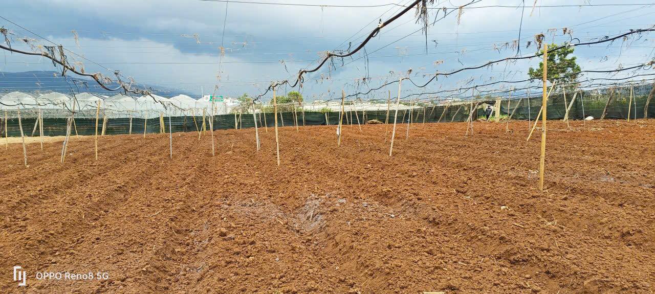 Đất sào Tu Tra, Đơn Dương 3,3 sào giá 2,3 tỷ - Gần cầu ông Thiều!