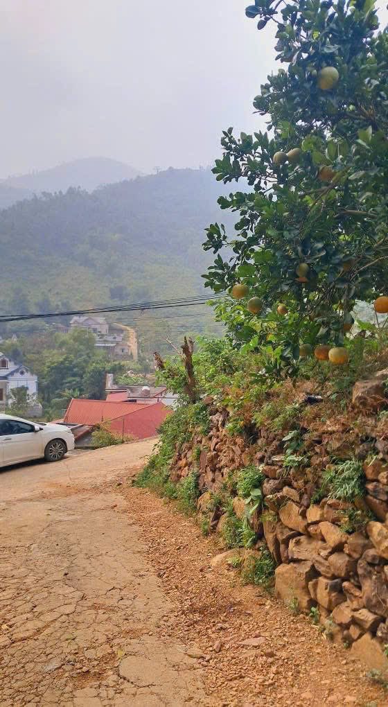 Đất nền Liên Sơn Lương Sơn 700m² giá chỉ 2 tỷ - Sổ đỏ chính chủ!