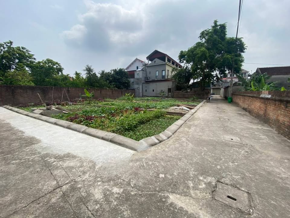 Đất nền Tân Dân, Sóc Sơn 88m² giá 2.65 tỷ - Đường ô tô thông thoáng!