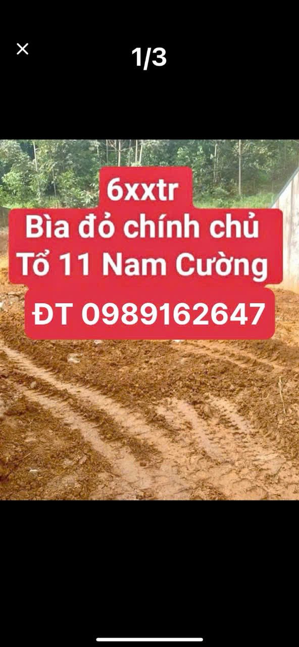 Đất nền chính chủ Tổ 11 Nam Cường 80m² giá 600 triệu - Cơ hội đầu tư hiếm có!