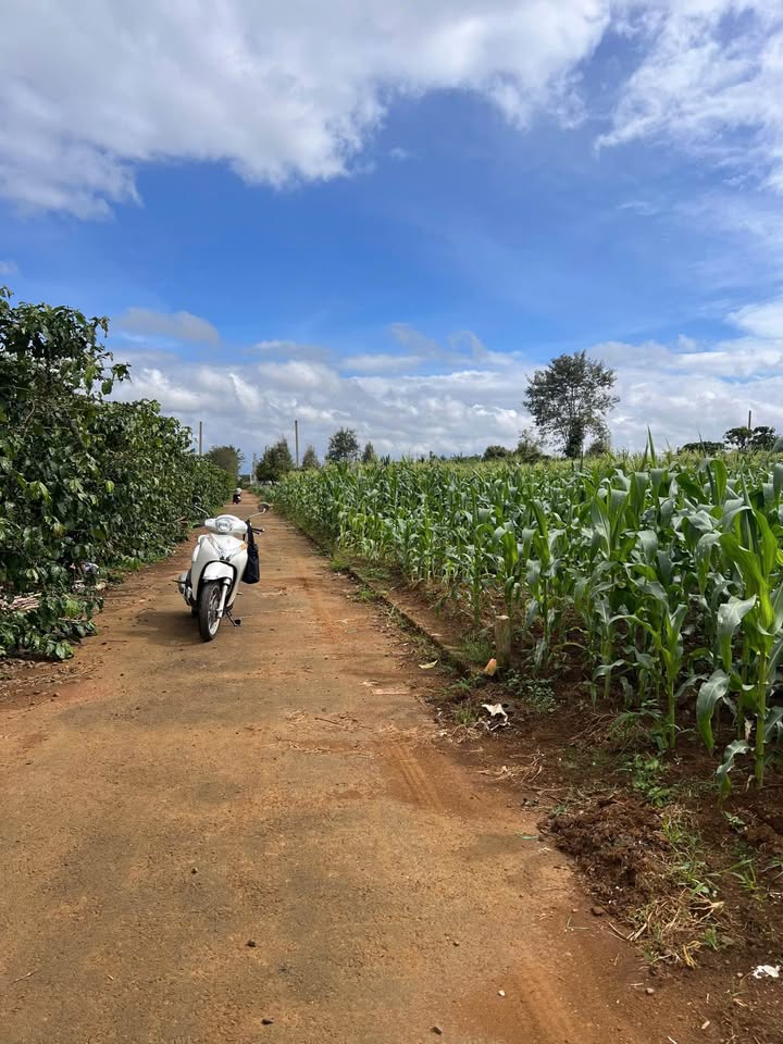 Đất nền chính chủ tại Lộc Thắng, Bảo Lâm 180m² giá 1.15 tỷ - Cơ hội đầu tư hấp dẫn!