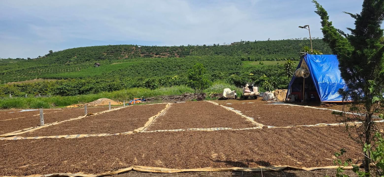 Đất nền hẻm 89 Phùng Hưng Bảo Lộc 500m² giá 1.2 tỷ - Cơ hội đầu tư tuyệt vời!