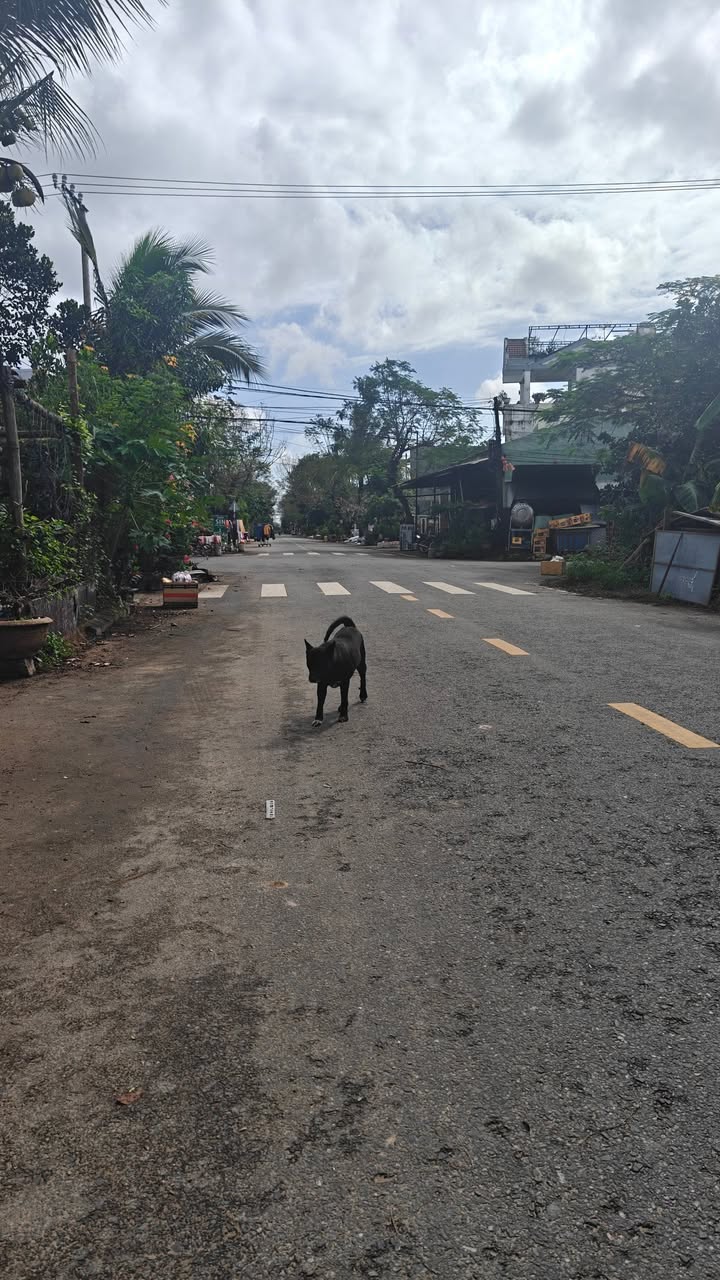 Đất nền Phan Đình Giót, Hội An 89m² giá 2.9 tỷ - Đầu tư sinh lời ngay!