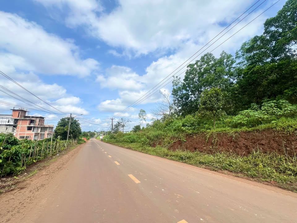 Đất mặt tiền Lý Chính Thắng, Pleiku 1500m² - Phù hợp kho bãi, nhà vườn!