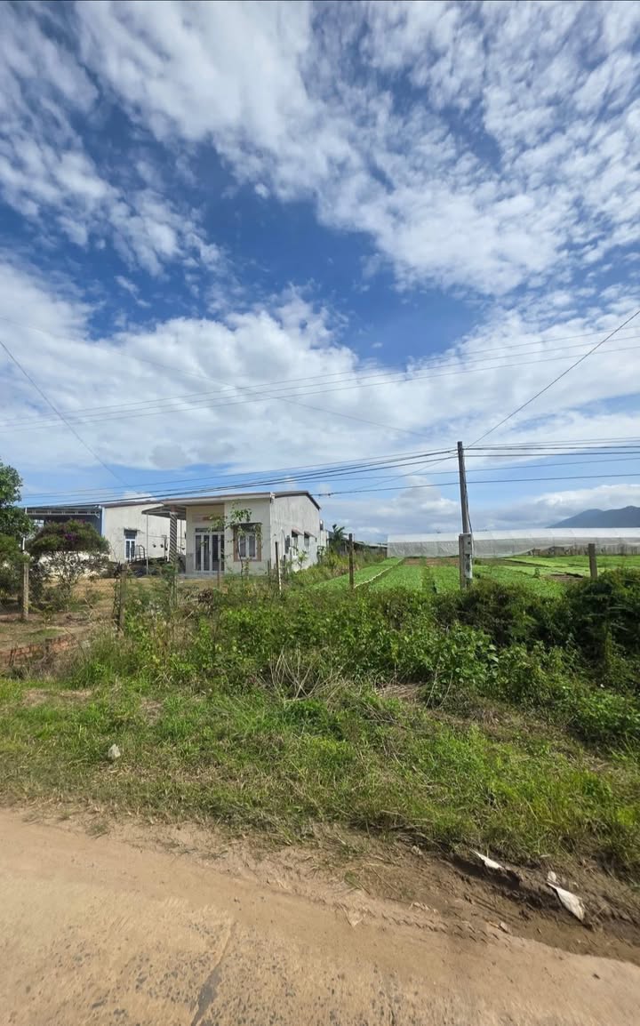 Lô đất 325m² tại Khuê Ngọc Điền, Đắk Lắk - Giá đầu tư chỉ 350 triệu!