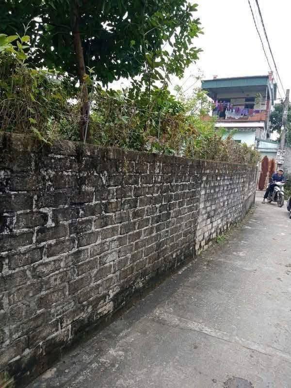 Đất nền An Ninh Tiền Hải 97m² giá 500 triệu - Cơ hội đầu tư tốt!