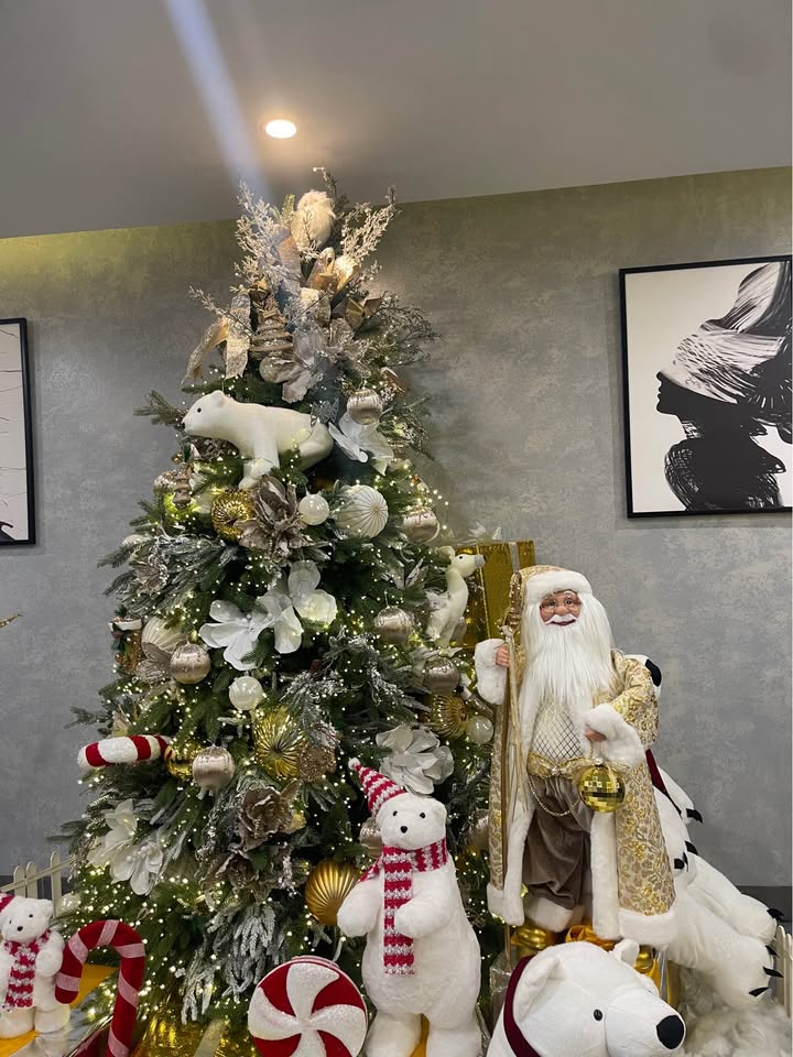 Đất thổ cư Thụy Ninh, Thái Thụy 90m² giá chỉ 500 triệu - Ngõ ô tô thông thoáng!