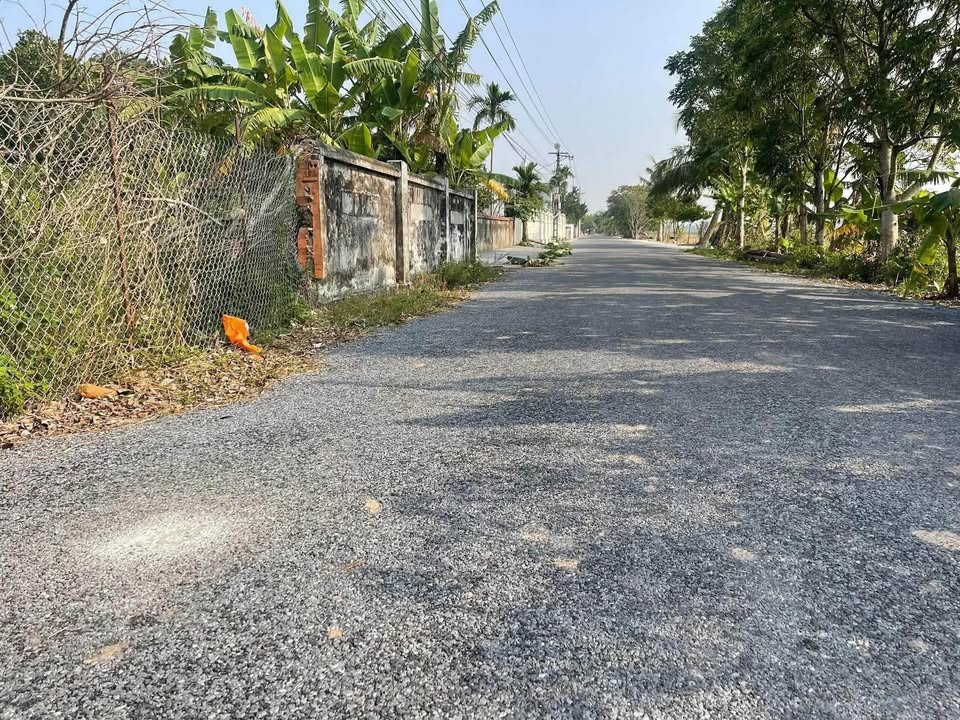 Đất thổ cư thôn Đoàn Kết, xã Mỹ Lộc, Thái Thụy 100m² - Vị trí đẹp, kinh doanh thuận lợi!