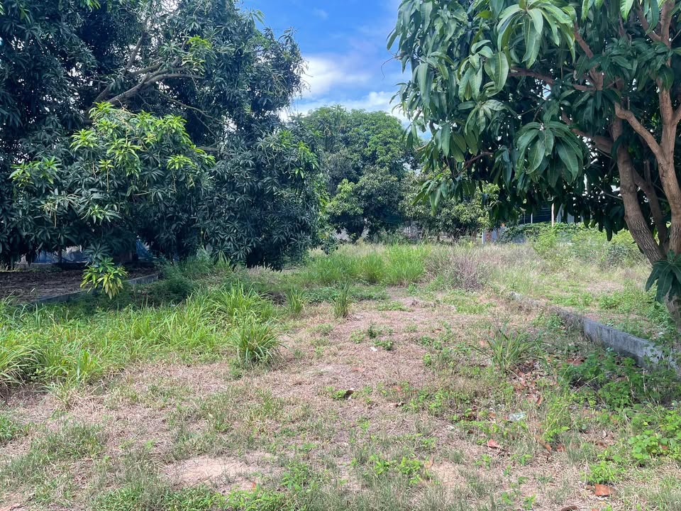 Đất nền Cam Thành Bắc 375m² giá 1.1 tỷ - Cơ hội đầu tư hấp dẫn!