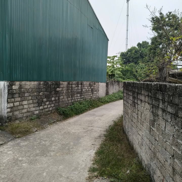 Đất nền xã Danh Thắng, Hiệp Hòa 180m² giá 900 triệu - Đường thông các ngả!