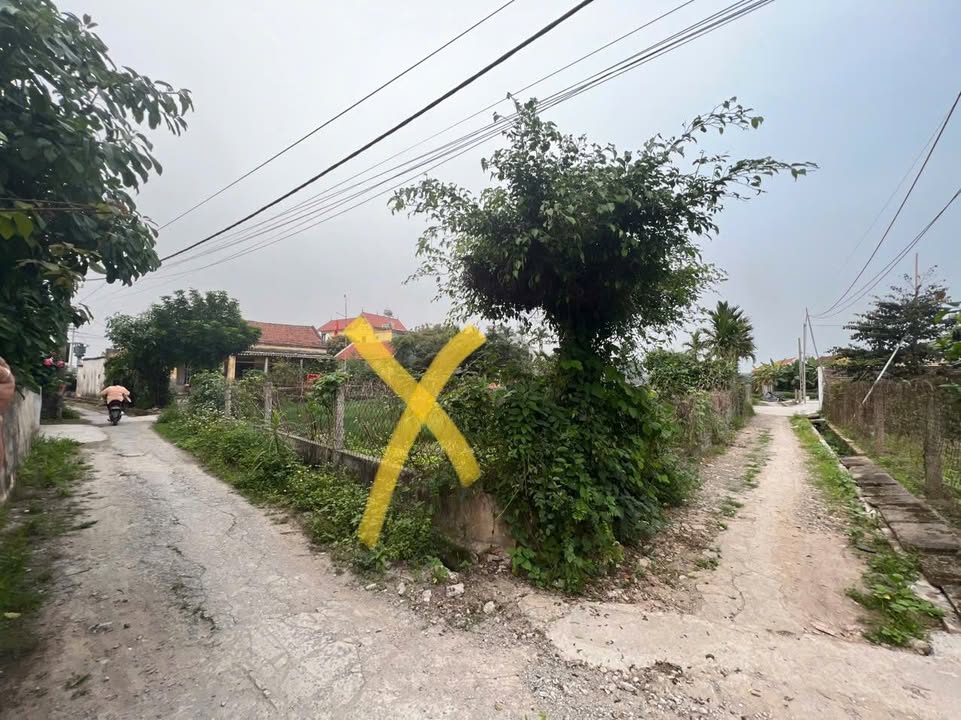 Đất nền Hải Chính, Hải Hậu 246m² giá 1.2 tỷ - Cơ hội đầu tư hấp dẫn!