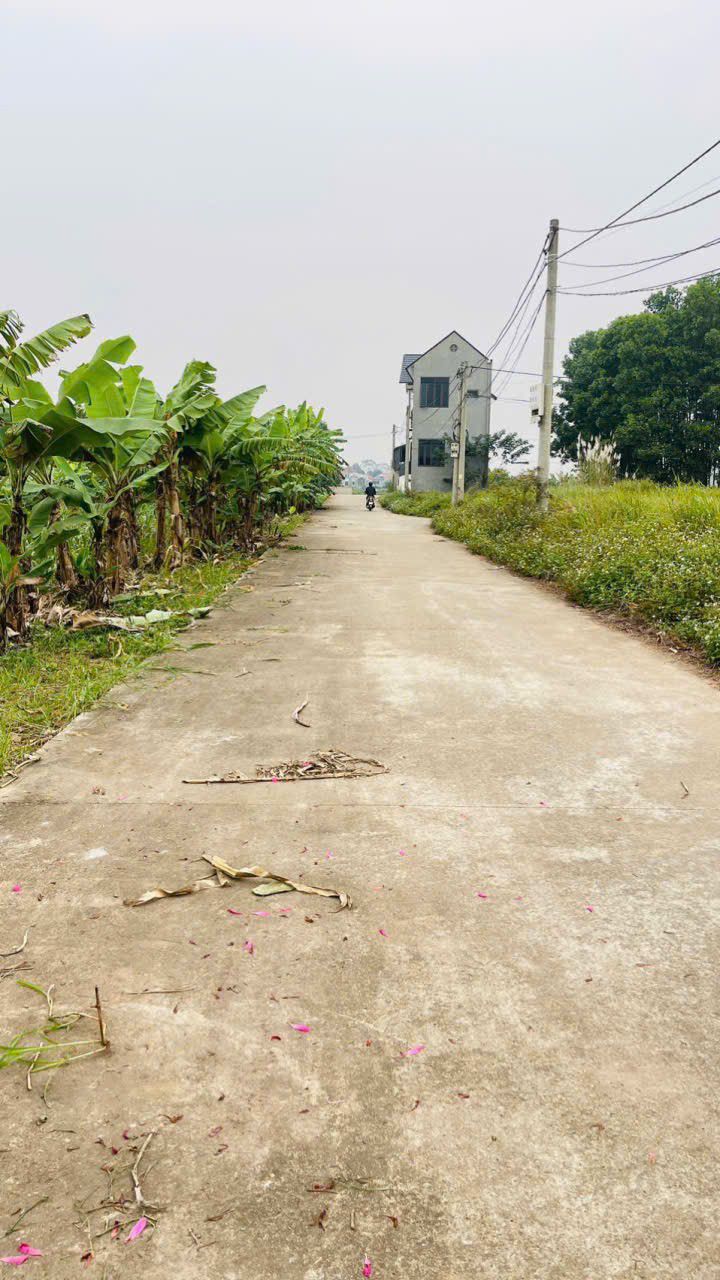 Đất nền K4 Dân Quyền Tam Nông 150m² - Cơ hội đầu tư tuyệt vời!