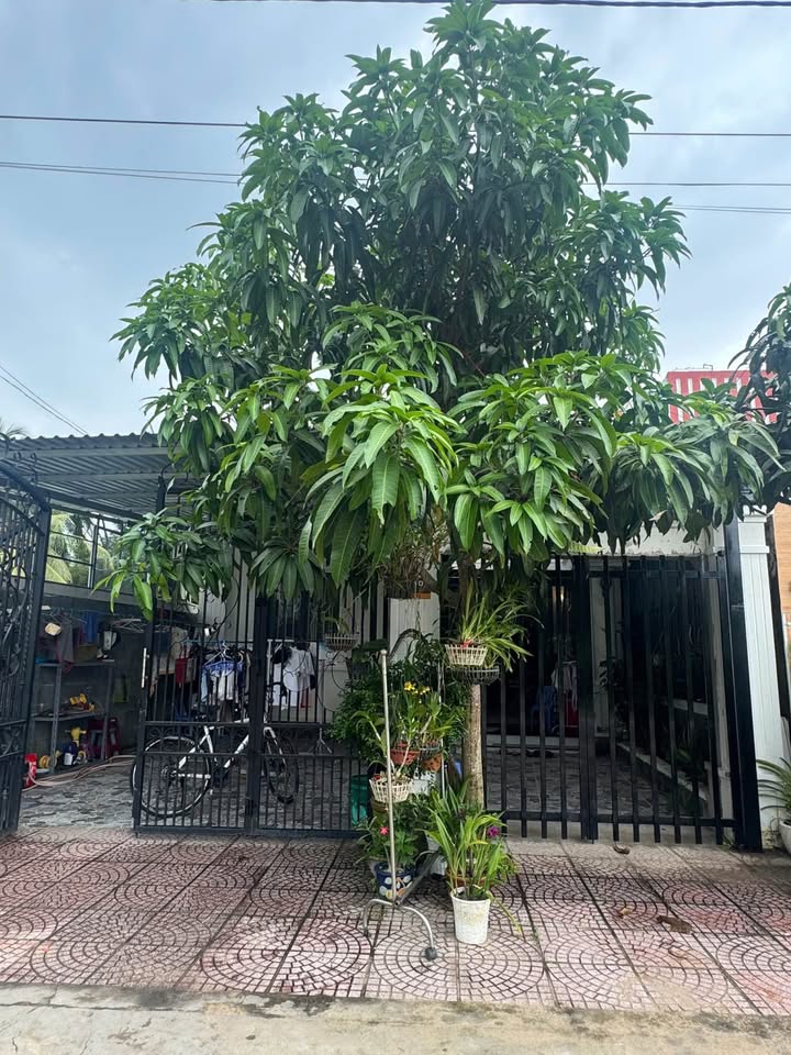 Nhà mái thái Phường Thanh Đức Vĩnh Long 148.8m² giá 2.5 tỷ - Nhà mới 98%!