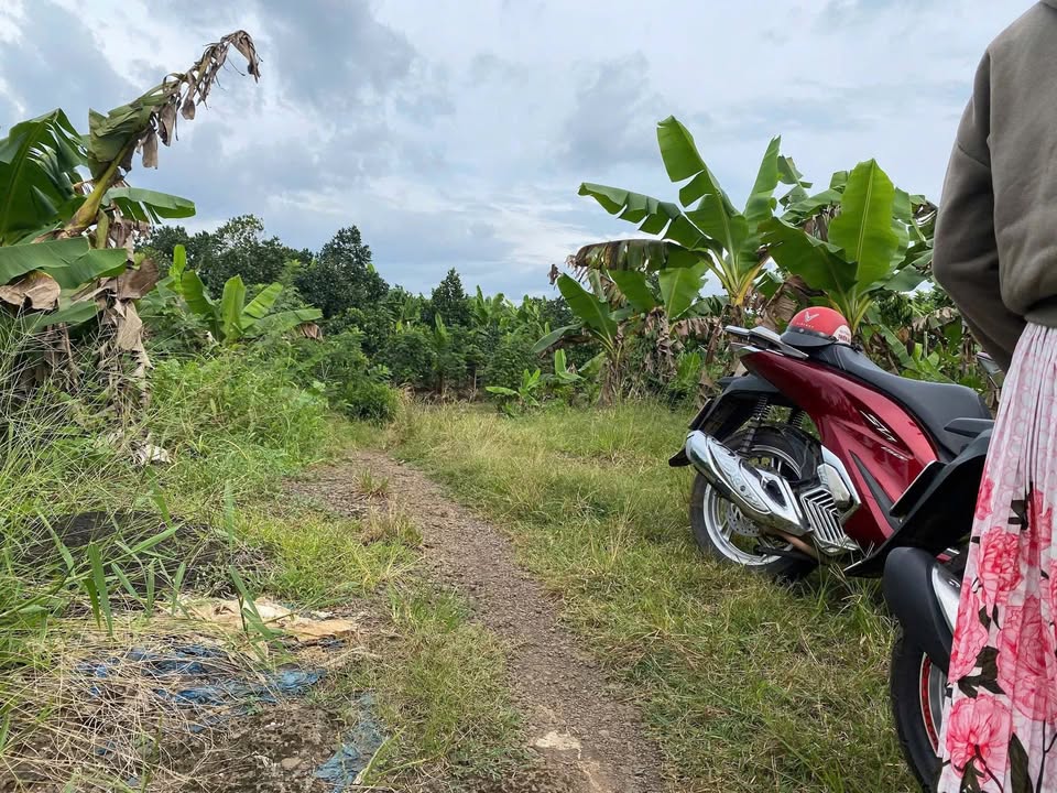 Đất nền Sông Thao Trảng Bom 1000m² giá 400 triệu - Cơ hội đầu tư tuyệt vời!