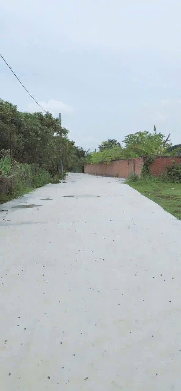 Đất nền Giang Điền 115m² chỉ 720 triệu - Sổ đỏ chính chủ, thổ cư 100%!