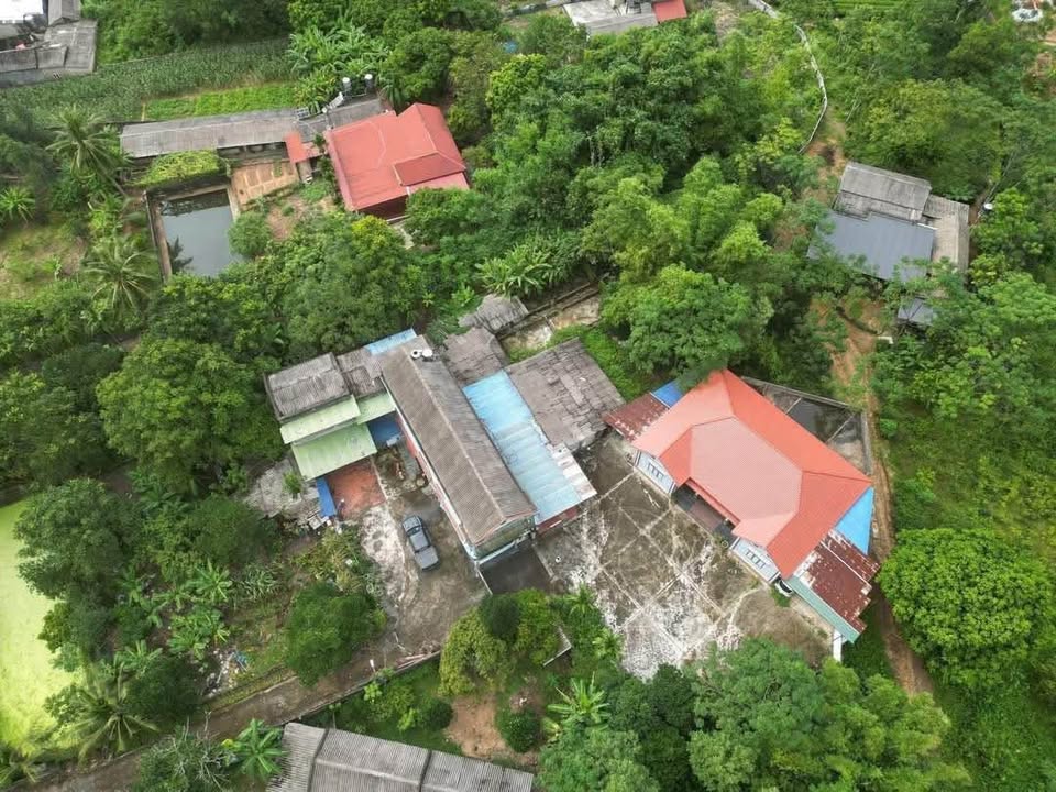 Đất và nhà ở Tân Cương, Thái Nguyên 2000m² giá 3.98 tỷ - Đầu tư sinh lời ngay!