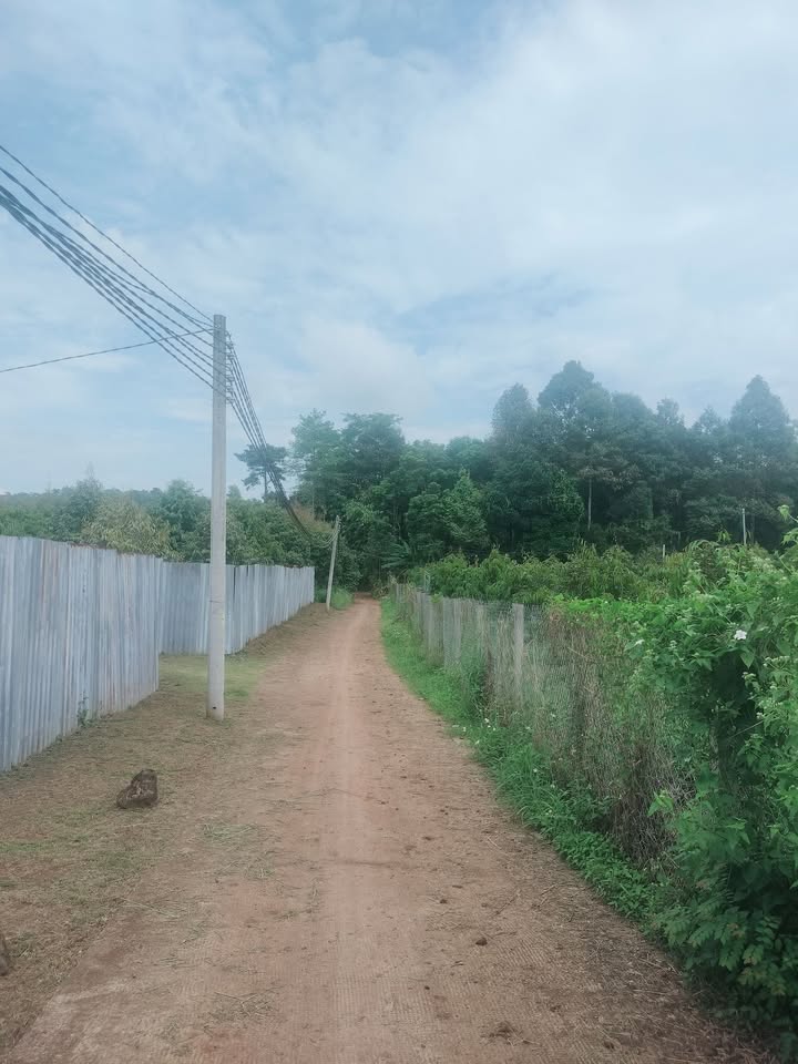 Đất nền Hàng Gòn, Long Khánh 5828m² giá 4.953 tỷ - Sổ hồng, đầu tư sinh lời!