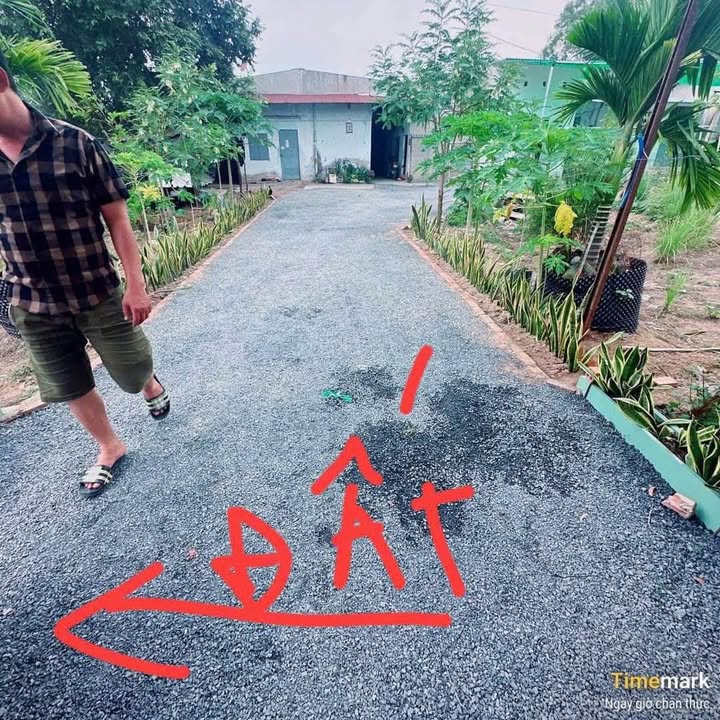 Đất nền ấp 1 Long Thọ, Nhơn Trạch 117m² chỉ 265 triệu - Cơ hội đầu tư không thể bỏ lỡ!