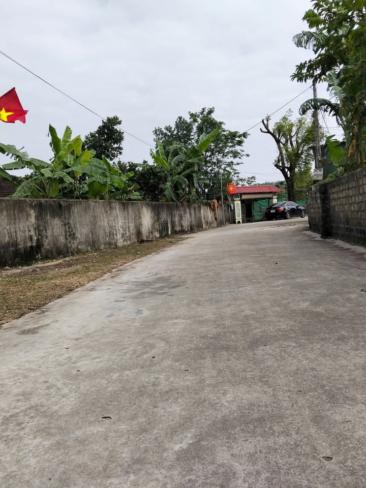 Đất nền Diễn Lâm, Nghệ An 252m² giá 1.1 tỷ - Cơ hội đầu tư hiếm có!