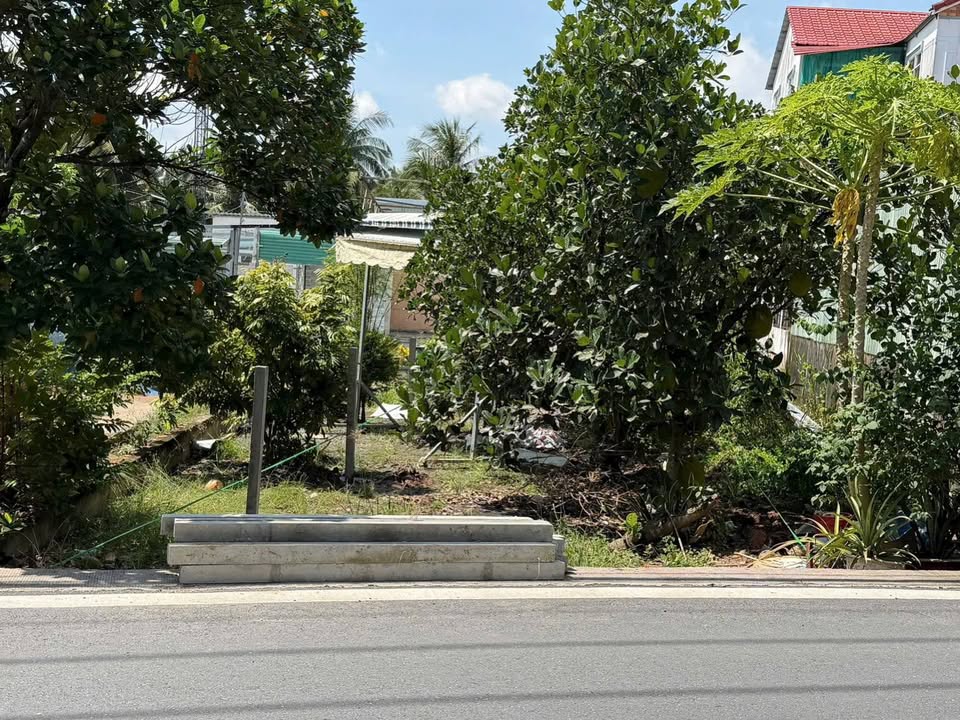 Đất thổ cư mặt tiền đường Thích Thiện Hòa, Bình Chánh 220m² - Giá chỉ 3.8 tỷ!