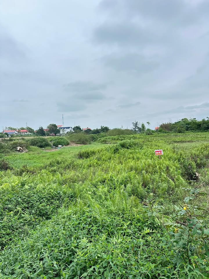 Đất nền đẹp tại Vành đai Biển Quảng Thái, 138m² giá 1.05 tỷ - Đầu tư tiềm năng sinh lời!