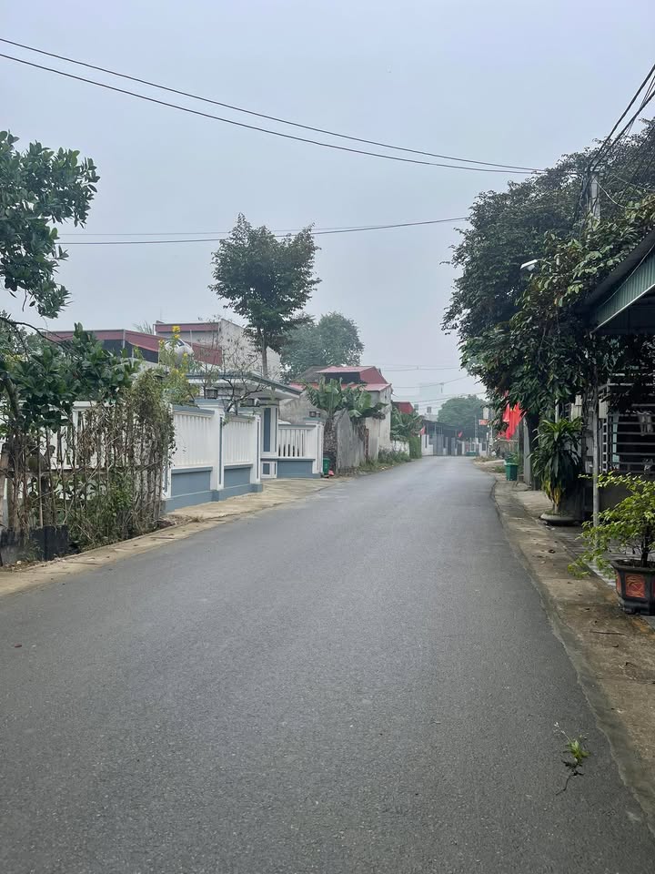 Đất thổ cư 140m² tại thôn 8, xã Lam Sơn, giá chỉ 800 triệu - Cơ hội đầu tư tuyệt vời!