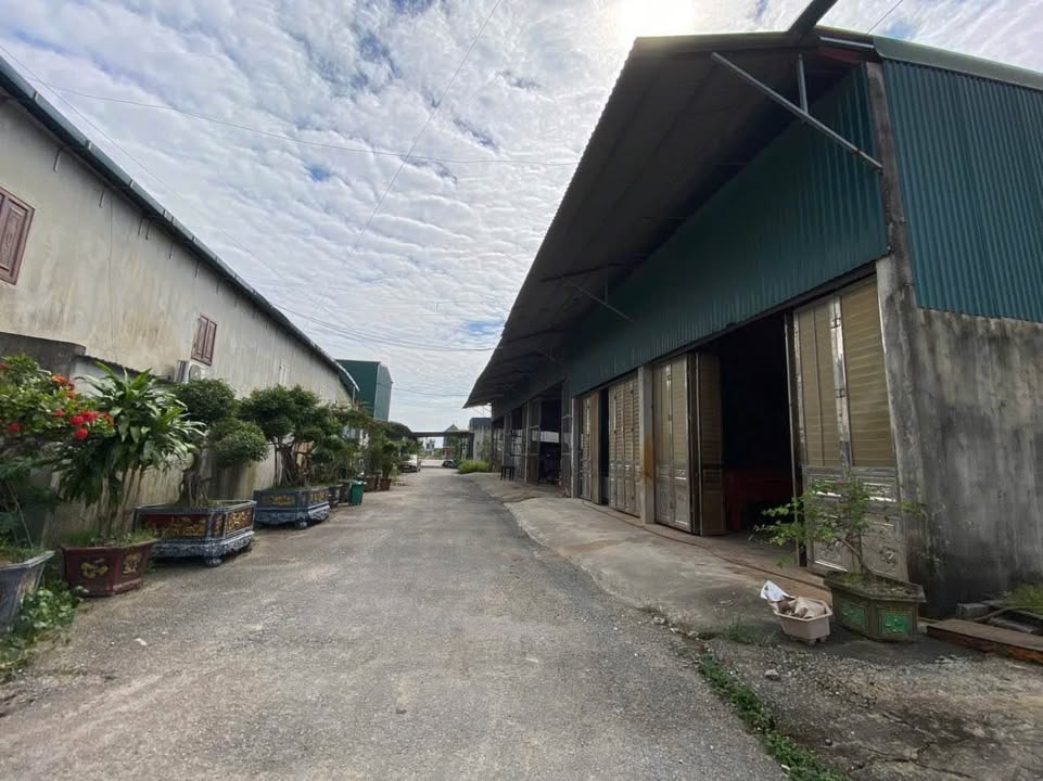 Kho xưởng MBQH 513 Phường Đông Sơn 375m² giá 3.3 tỷ - Đầu tư sinh lời ngay!