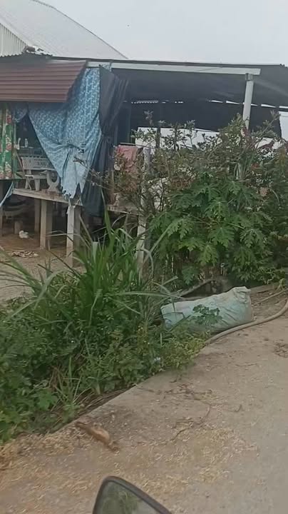 Đất ruộng 1 công 9 tại xã Chợ Mới, An Giang - Giá chỉ 300 triệu, thương lượng ngay!