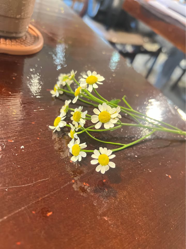 Đất nền biệt thự đường 2C, khu dân cư Thiên Lộc - 392.5m² chỉ 8 tỷ - Sổ đỏ chính chủ!