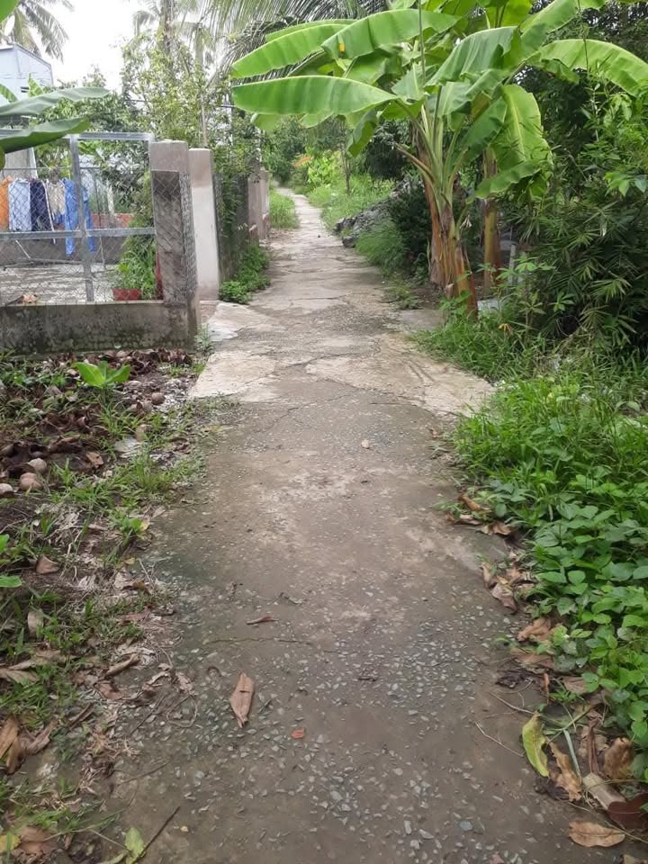 Đất nền đẹp tại Phường Vị Thanh, Hậu Giang 336m² giá 450 triệu - Cơ hội đầu tư sinh lời!