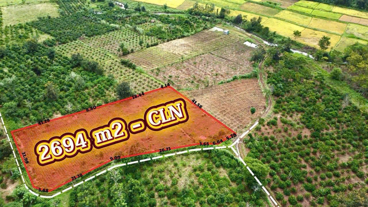 Đất nền 2.7 sào xã Ea Drong, Đắk Lắk giá 439 triệu - Thích hợp trồng cây ăn trái!