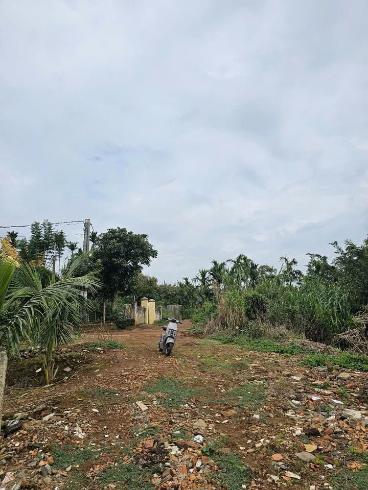 Đất nền Hẻm 81 Nguyễn Trãi, An Bình, Buôn Hồ 150m² giá 970 triệu - Cơ hội đầu tư hấp dẫn!