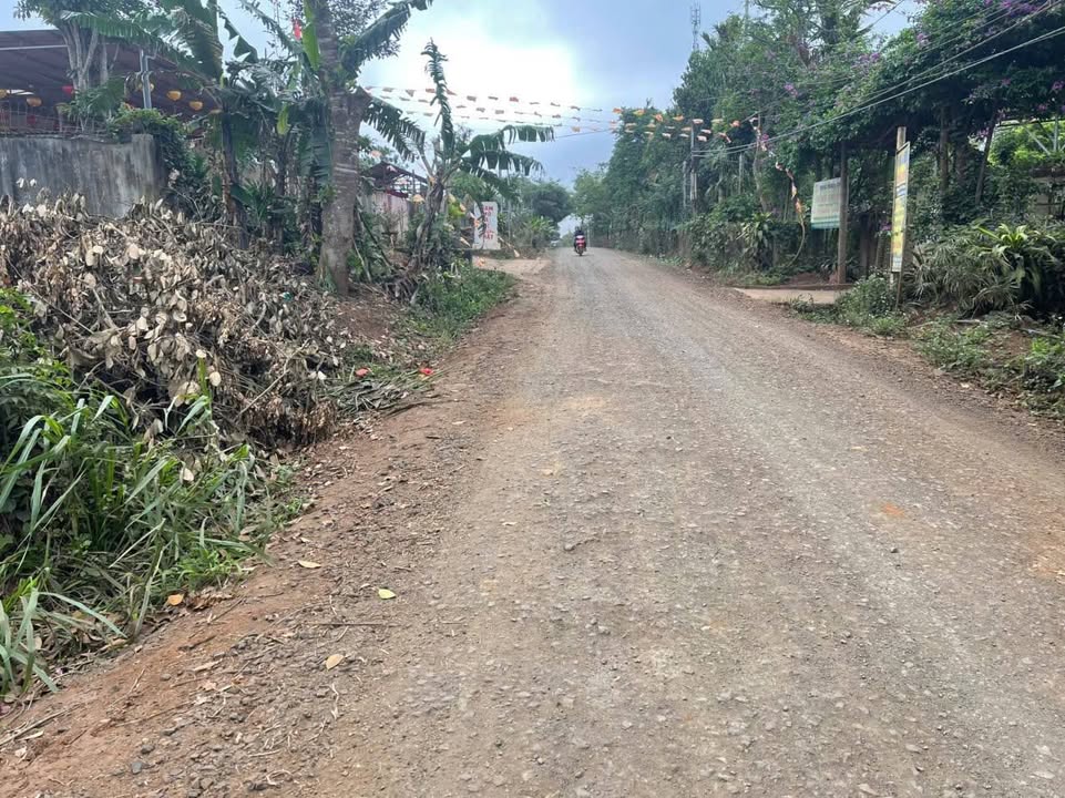 Đất mặt tiền Hồ Xuân Hương, Buôn Hồ 1500m² - Thích hợp làm kho phân lô!