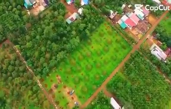 Farm Ea Tul Cư M'gar 5100m² giá 3 tỷ - Đầu tư tiềm năng ngay hôm nay!