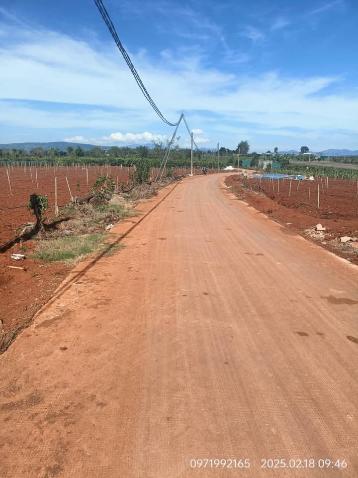 Đất nền đẹp tại Tân Hội, Đức Trọng - Giá chỉ từ 490 triệu!