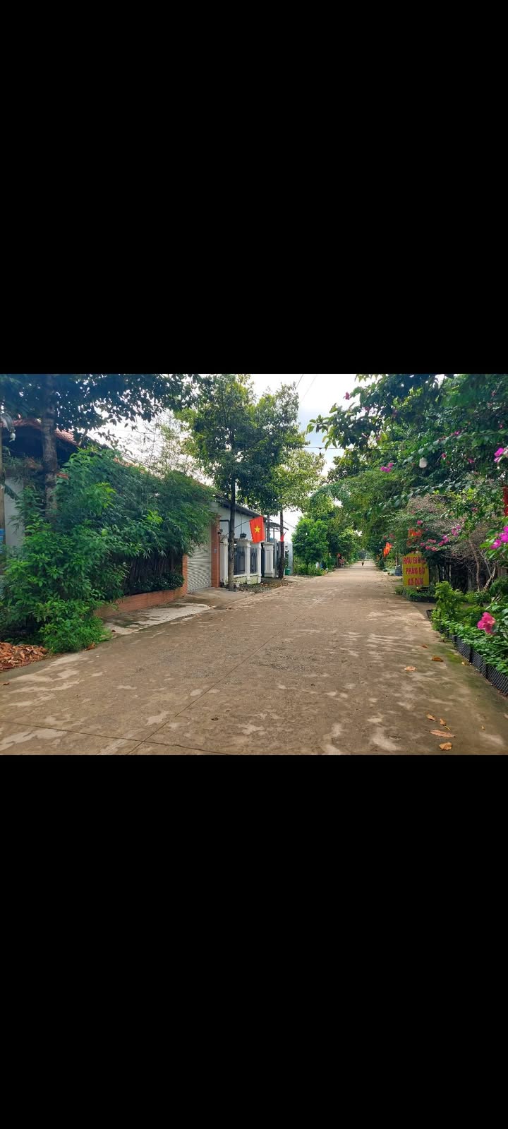 Đất nền Tân Bình, Đồng Xoài 220m² giá 1.8 tỷ - Đầu tư sinh lời ngay!