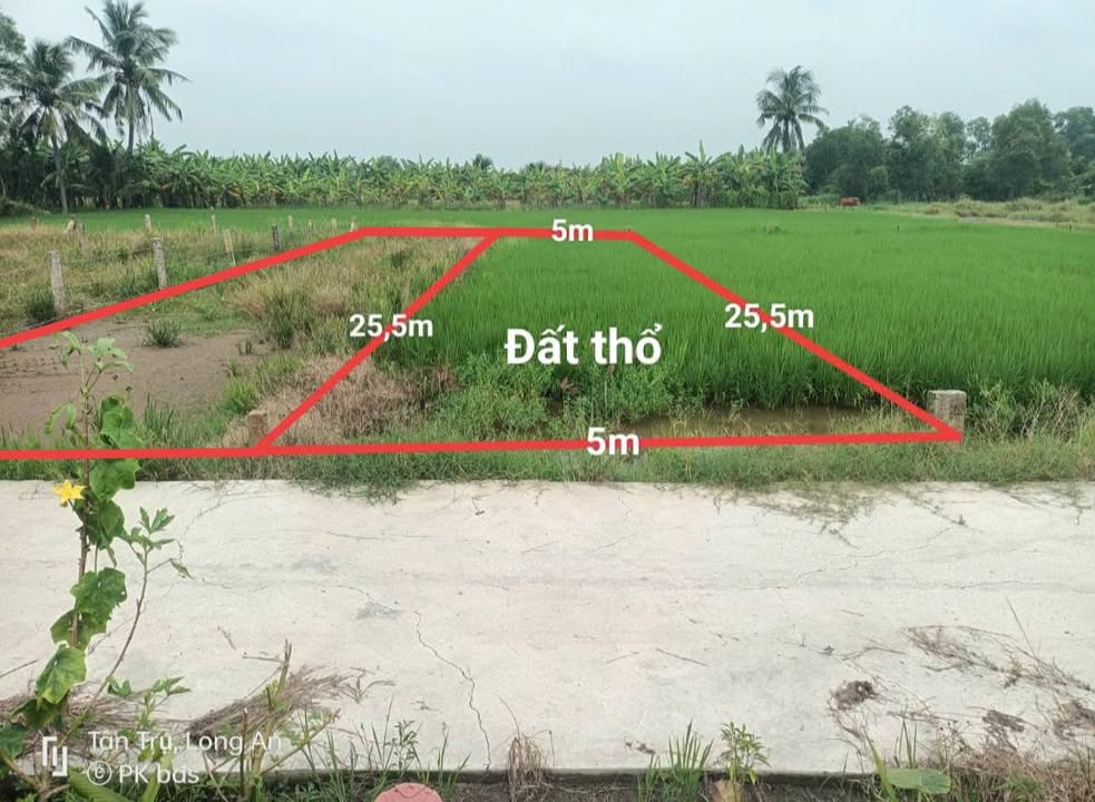 Đất thổ cư Tân Trụ 127m² giá 379 triệu - Đầu tư sinh lời ngay!