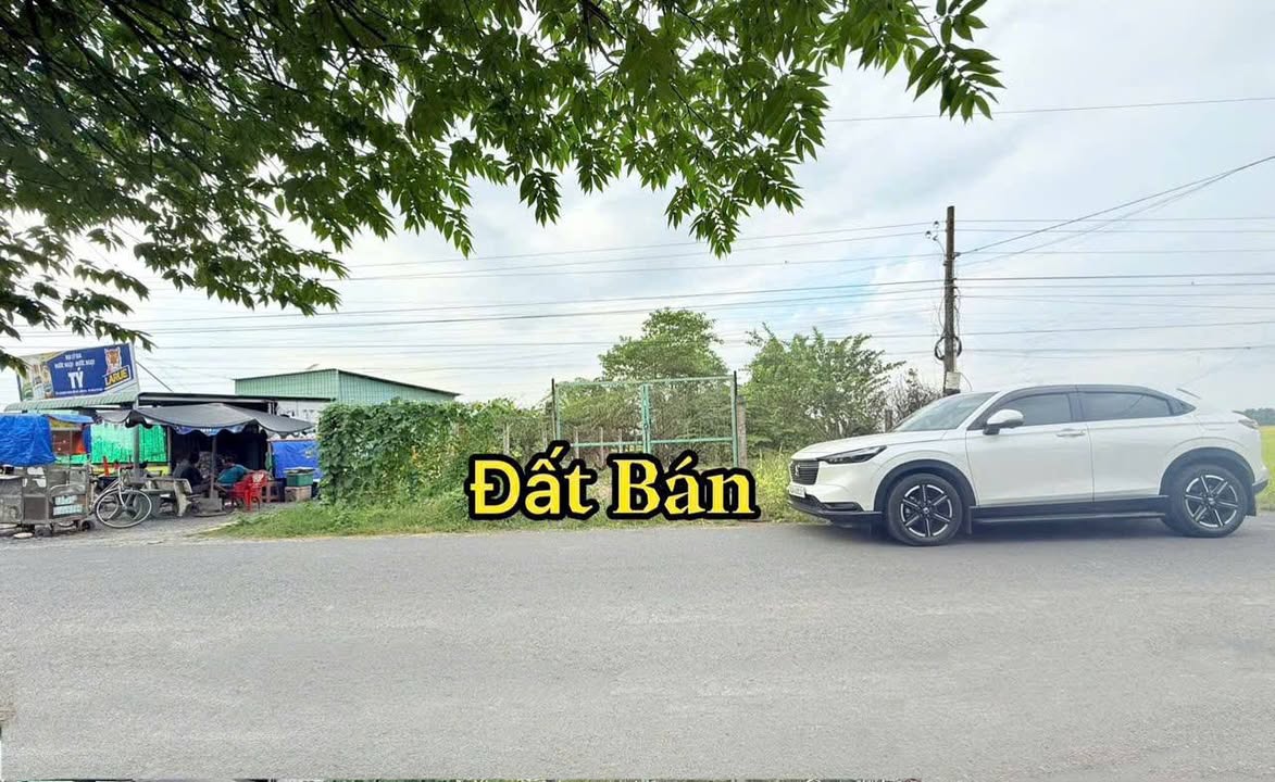 Đất thổ cư gần KCN Nhựt Chánh 485m² giá 3.35 tỷ - Tiềm năng phát triển lớn!