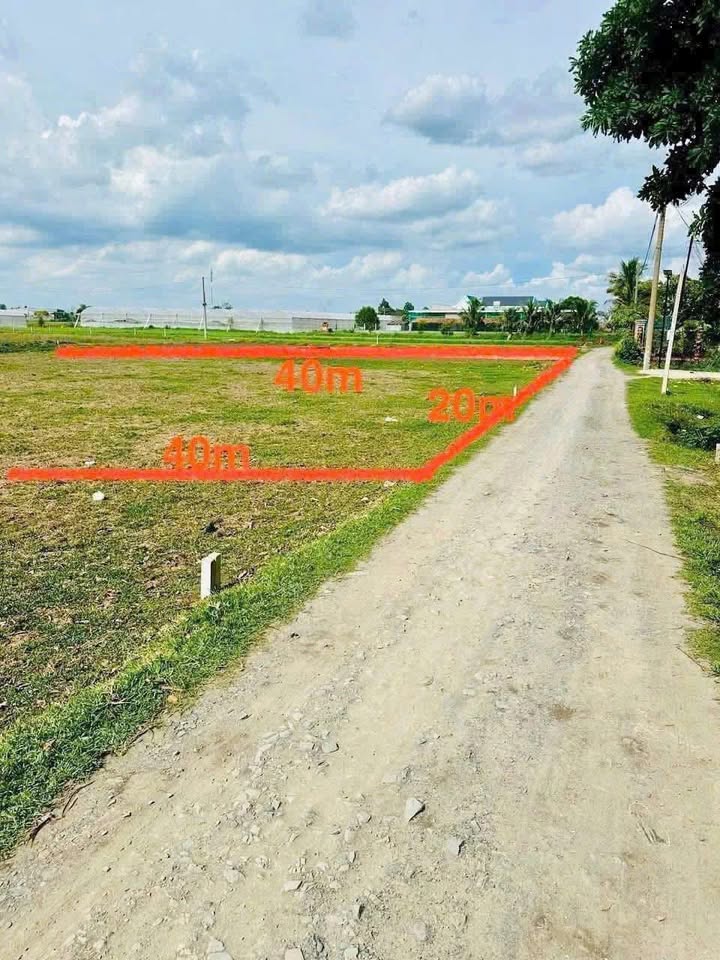 Đất xây nhà vườn 800m² Mỹ Hạnh Bắc - Giá 2.9 tỷ, vị trí đắc địa!