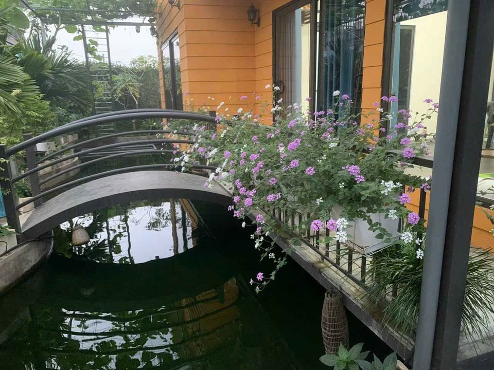 Bán gấp nhà vườn nghỉ dưỡng 400m² tại Sài Sơn, Quốc Oai - Giá đầu tư hấp dẫn!