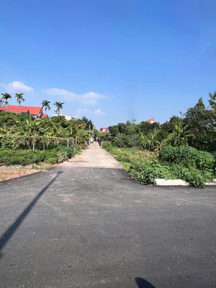 Bán lô đất 42m² Võng Xuyên giá chỉ 1 tỷ - Cơ hội đầu tư hấp dẫn!