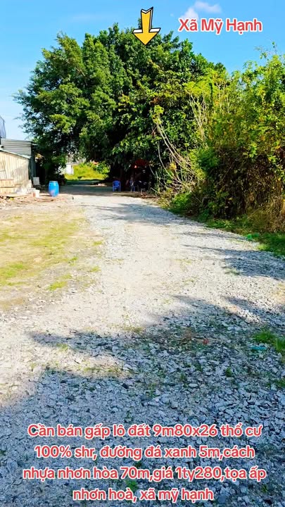 Đất nền ấp Nhơn Hòa, xã Mỹ Hạnh 254m² giá 1.28 tỷ - Đầu tư sinh lời ngay!