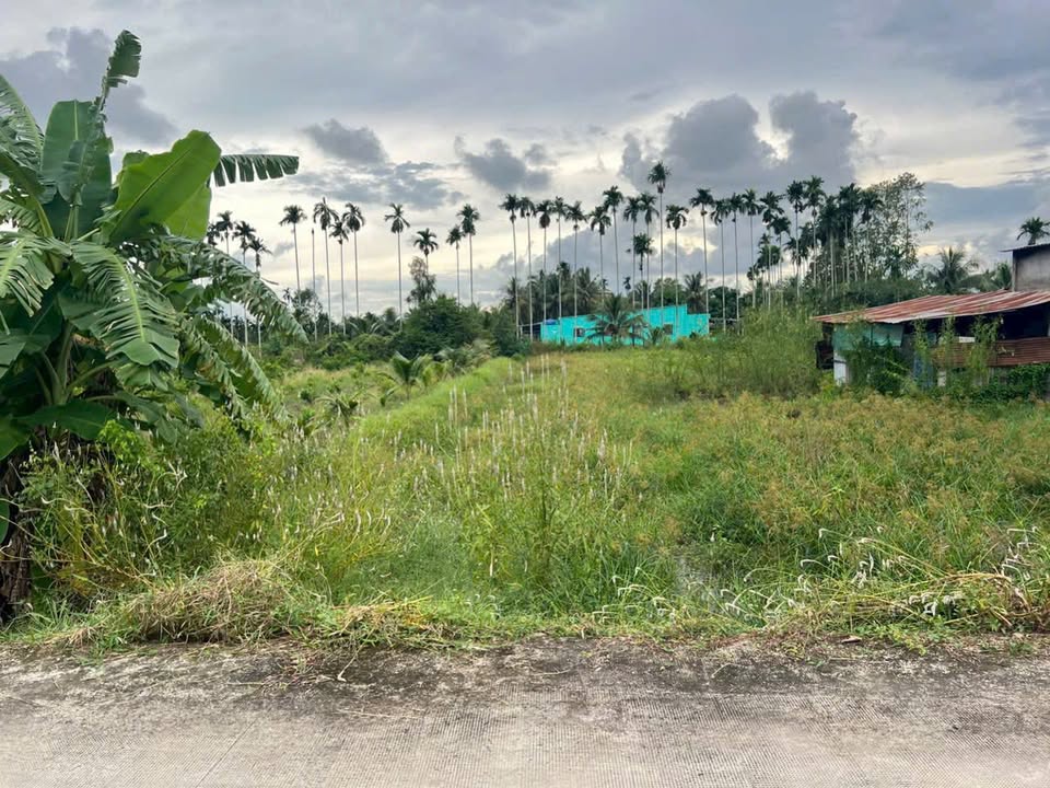 Đất vườn nghỉ dưỡng Hoà Khánh Tây 1.350m² - Đầu tư lý tưởng!