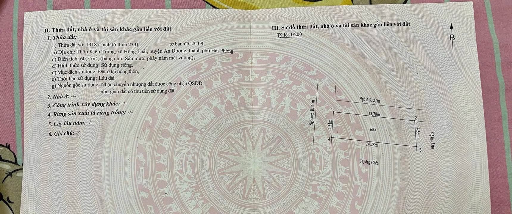 Đất nền Hồng Thái, An Dương 60m² giá thỏa thuận - Cơ hội đầu tư vàng!