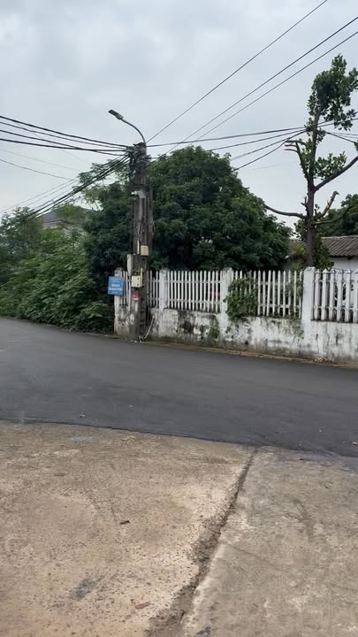 Đất nền Thanh Vân, Tam Dương 125m² giá chỉ 1 tỷ - Tiềm năng kinh doanh tốt!