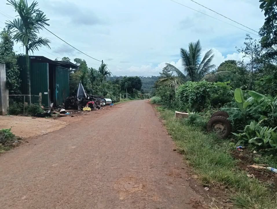 Đất nền mặt đường Mai Xuân Thưởng, Đạt Hiếu, 250m² giá 800 triệu - Cơ hội đầu tư vàng!