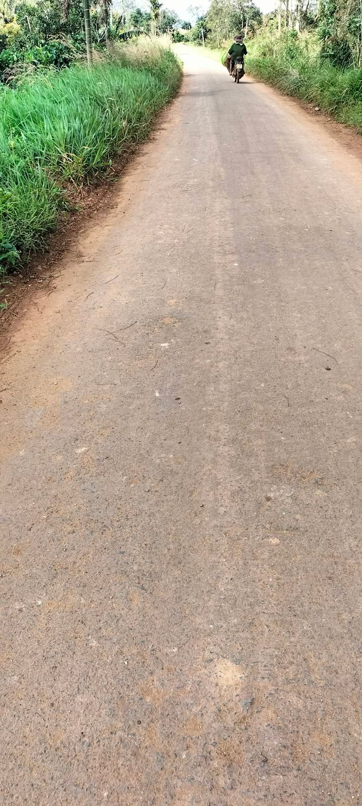 Đất trồng cây ăn trái Đliê Ya, Krông Năng 1ha giá 3.6 tỷ - Cơ hội đầu tư hấp dẫn!