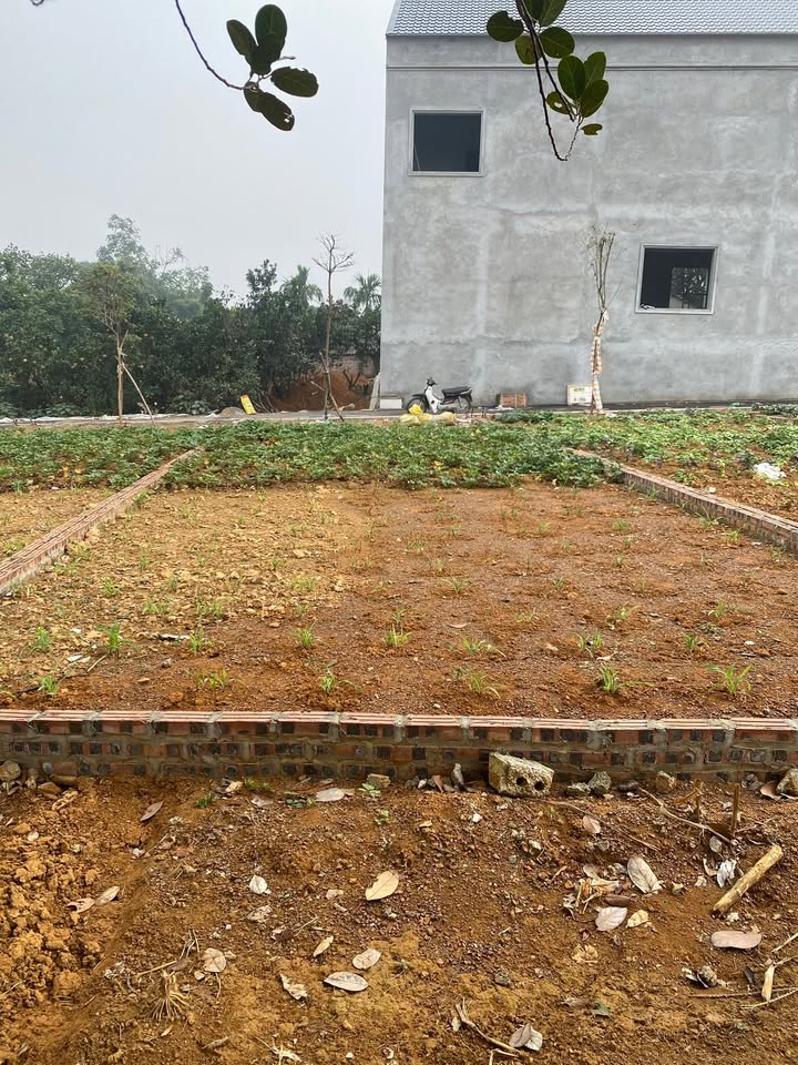 Đất thổ cư 105.2m² tại Quốc Oai - Sổ đỏ chính chủ, xây dựng ngay!