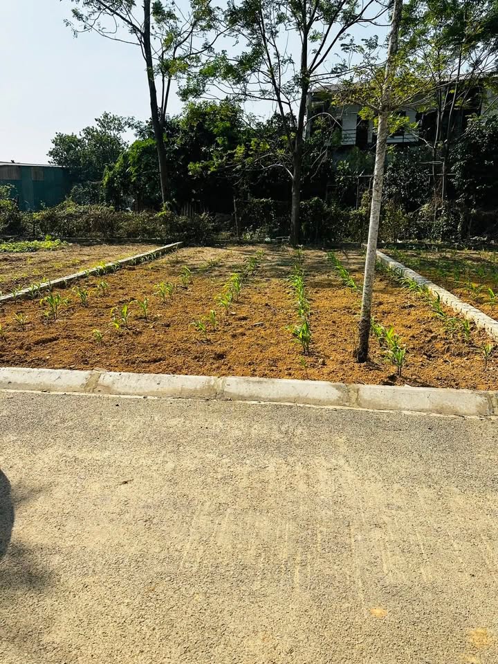 Đất thổ cư Phú Cát Quốc Oai 100m² giá thỏa thuận - Gần tuyến Metro và công nghệ cao!