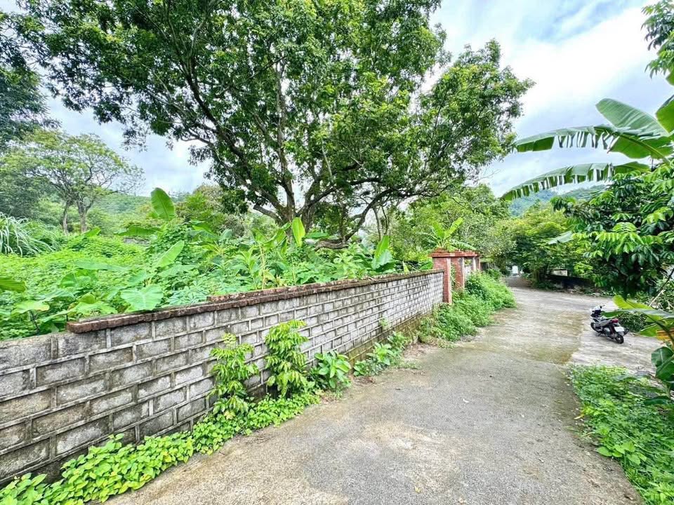 Đất nghỉ dưỡng Lương Sơn Hòa Bình 1300m² giá chỉ 3 tỷ - Đường ô tô vào tận nơi!